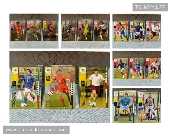 帕尼尼足球世界杯球星卡收藏价值及市场趋势分析