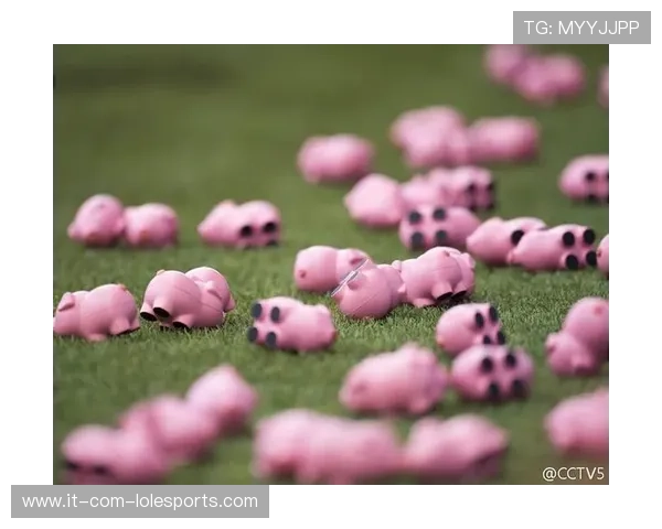 小猪贝尔哈特：从球场闪耀到生活之路的转型与挑战