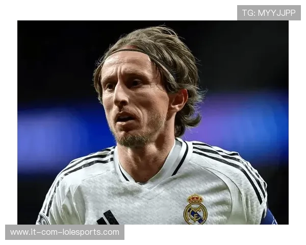 足球巨星大卫的荣耀之路从绿茵激情到传奇永恒